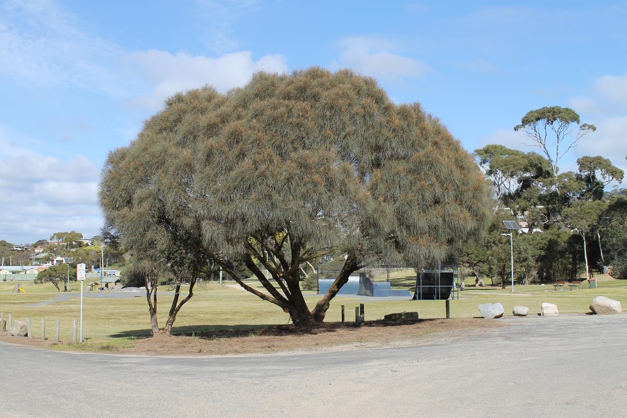 Bircoo Cottage Beach And Golf Getaway Bridport Luaran gambar